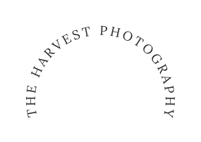 The harvest photography