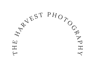 The harvest photography